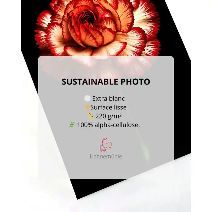 OFFRE FLASH