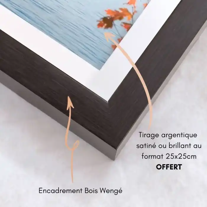 OFFRE CADRE WENGE