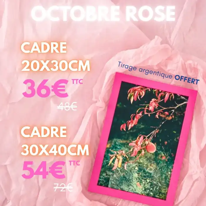 OFFRE OCTOBRE ROSE