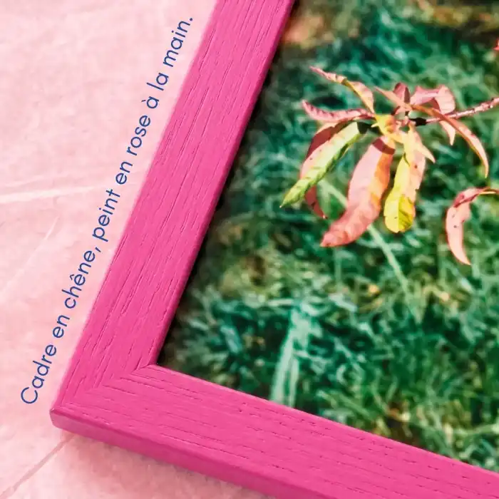 OFFRE OCTOBRE ROSE